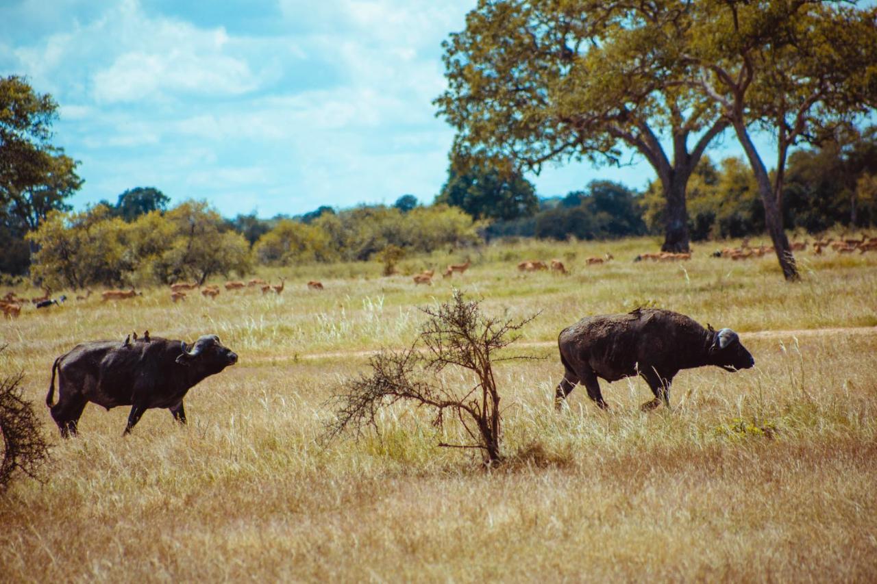 Serengeti Kamwene Tented Camp Nyabogati Exterior photo